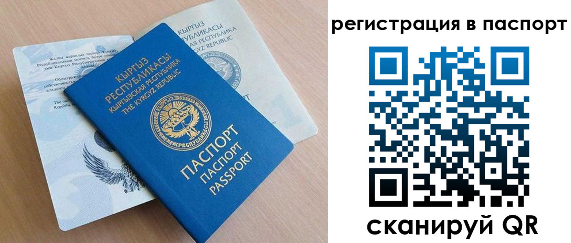 прописка законно в Сочи